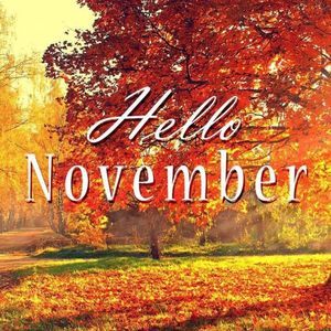 Meet your Posher, Chelsie